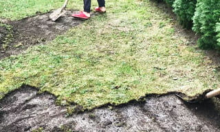 Снятие дерна старого газона в Гатчине – от 525 руб. | ГОСТСТРОЙ